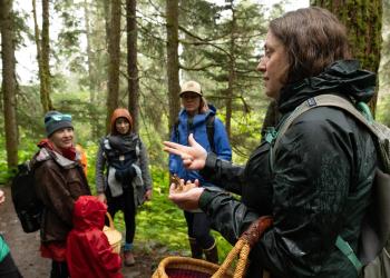 A wildlife biologist leads a fungi foray in a forest. Daytime, summer.