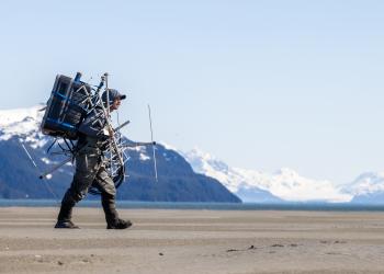 A person walks with armfuls of telemetry equipment on the Copper River Delta.