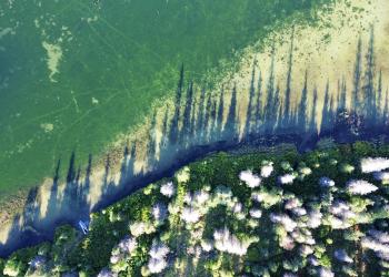 An aerial view of a lakeshore.