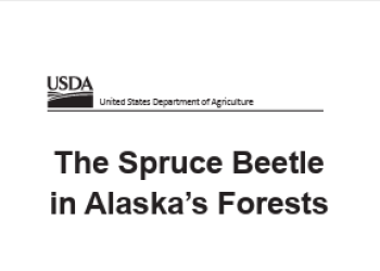 Cover of a leaflet for the spruce beetle in Alaska