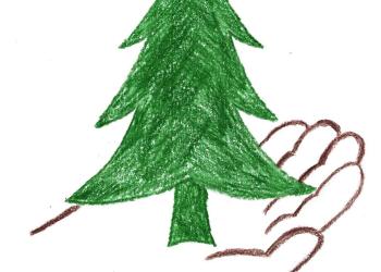 Tongass children's forest logo of an illustrated hand holding a tree.