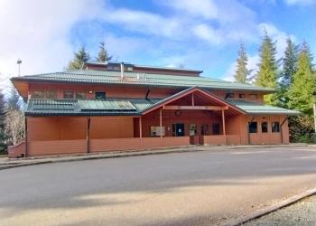 brown building, green roof, treen trees and blue sky background