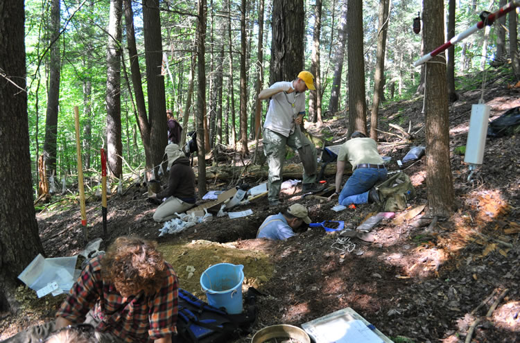 Soils scientists profiling and testing a forest soils.