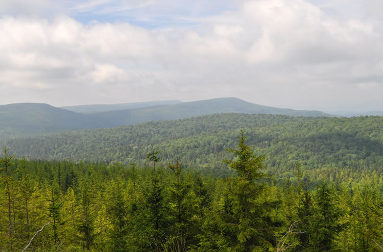 A landscape view of the mountains and forest of the Monongahela National Forest.