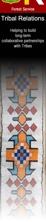 Office of Tribal Relations: Helping to build long term collaborative partnerships with Tribes.