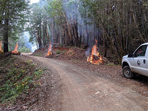 Tribal Relations  US Forest Service