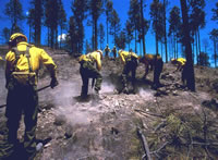 A Burned Area Emergency Response (BAER) crew hard at work.