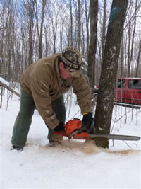 Scott Smith, a Lac du Flambeau tribal member, cuts a tree marked for firewood on the Chequamegon-Nicolet National Forest.