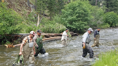 Tribal crew working in Panther Creek.