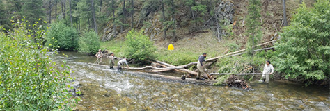 Tribal crew working in Panther Creek.