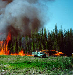 [image] Photo of a wildland fire that was used for testing.