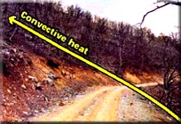 Firgure 5:  Photo of a road where four firefighters deployed their fire shelters and survived with only minor burns.