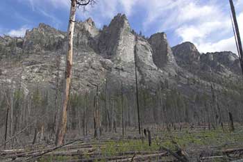 Photograph of a forest at the base of a set of mountains.