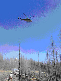 Helicopter with spray unit suspended.