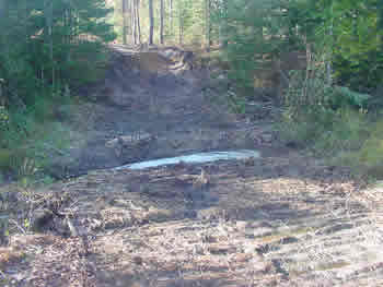 Photo of stream after crossing removal.