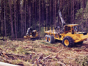 Photo of forwarder.