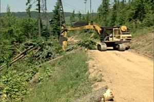 Photo of yoader working of the sdie of a road.