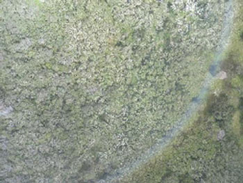 Figure 4. Cloud obscuring a picture. Note the rainbow arcing through the right side of the picture.