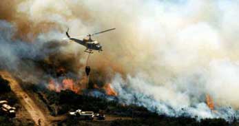 Photo of a CDF Bell S205 helicopter dropping fire retardant over a forest fire