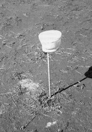 Figure 15Retardant dropped on the test grid.