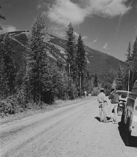Figure 45Kootenai National ForestSite 2.