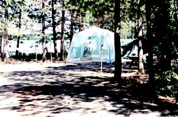 Photo of a campsite lot occupied by a tent and surrounded by trees.