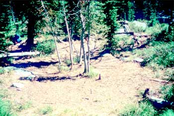 Photo of a campsite with young trees dispersed sporadically through it.