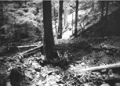 Debris flows were relatively easy to identify. Evidence consisted of either evacuated channels upstream of the crossing or, as in this photo, large, poorly stratified deposits where the flow was impounded against the road fill.