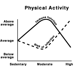 A Physical Activity Plot showing the relationship of physical activity to immune function and risk of infection.
