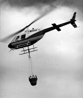 Forest Service Bell 206
