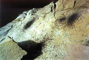 photo of asphalt dripping onto rocks under a bridge