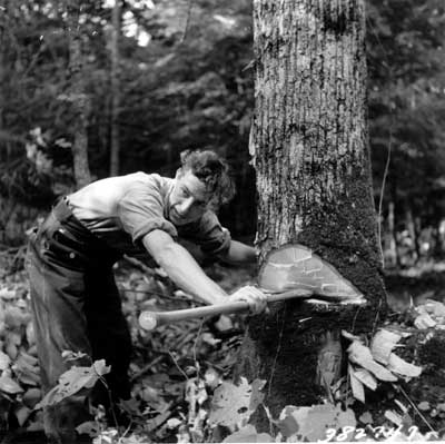 [photo] Man using a double ax on a tree