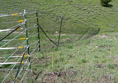 Photo of a leaning plastic fence that was bent over by melting snow.