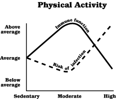 [image] Graph showing the relationship of physical activity and immune function