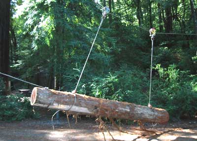 [photo] Rope cable rigging being used to transport a felled log in a forested area.