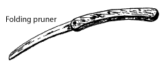 Image of a folding pruning saw.