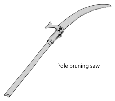 Image of a pole pruning saw.