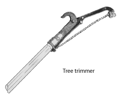 Image of a tree trimmer.