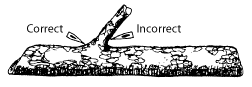 Image showing the correct limbing technique on a log with text that reads 'Correct and Incorrect'.