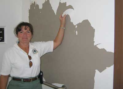 [photo] A Forest Service employee tearing paint chips from a bathroom wall.
