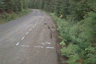 [photo] A paved road in a forested area with huge cracks in the side of the road that are outlined with white marks.