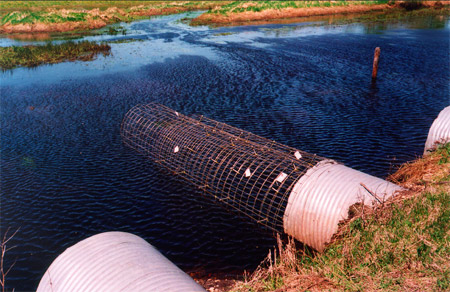 Photo of a wire mesh culvert extention.