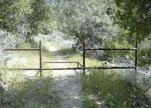 Photo showing a horse stile across a dirt trail in a forested area.