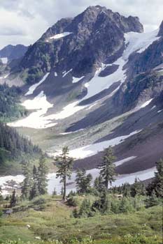Photo of a mountain pass with patches of snow and coniferous trees on the mountain slopes.