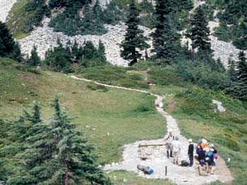 Photo taken in 2003, 28 years later, of the same site showing the effects of restoration efforts.