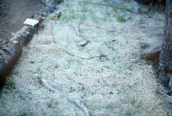 Photo of a gray colored erosion-control blanket.