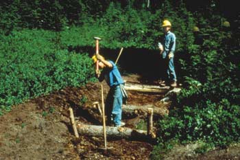 Photo of two workers pounding pegs into place by the checkdams with a sledge hammer.
