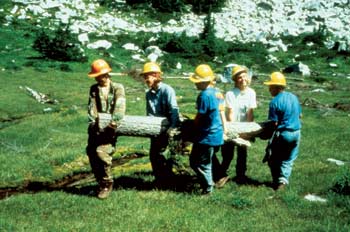 Photo of several workers carrying a large log.