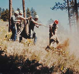 Image of four men building a fireline on a hill slope.