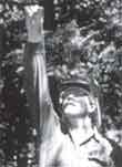 Photo of a sawyer assessing the tree for head lean and side lean.
